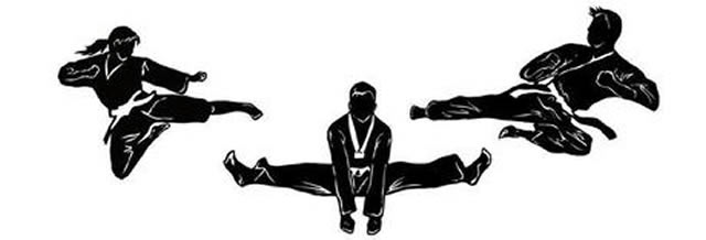 Taekwondo